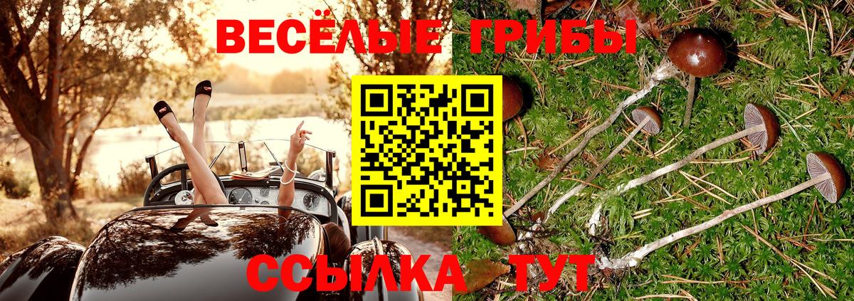 Псилоцибиновые грибы Cubensis  Вход с VPN  Иваново 
